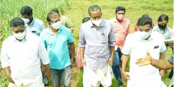കാര്ഷിക മേഖലയെ സംരക്ഷിക്കാന് ആവശ്യമായ നടപടികള് സ്വീകരിക്കും : മന്ത്രി പി.പ്രസാദ് കാര്ഷിക മേഖലയെ സംരക്ഷിക്കാന് ആവശ്യമായ നടപടികള് സ്വീകരിക്കും : മന്ത്രി പി.പ്രസാദ്