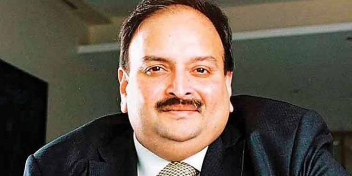 രാജ്യം വിടാന് സാധ്യത ; ചോക്സിക്ക് ജാമ്യം നിഷേധിച്ച് ഡൊമിനിക്കന് കോടതി രാജ്യം വിടാന് സാധ്യത ; ചോക്സിക്ക് ജാമ്യം നിഷേധിച്ച് ഡൊമിനിക്കന് കോടതി