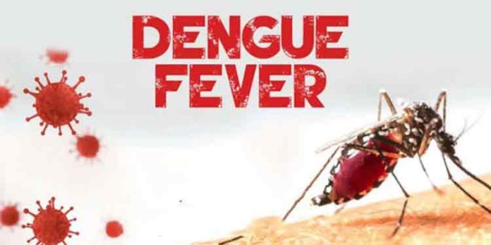 ജില്ലയില് ഡെങ്കിപ്പനി വ്യാപനത്തിനു സാധ്യത , കൊതുക് നിയന്ത്രണം ഊര്ജ്ജിതപ്പെടുത്തണം : ഡി.എം.ഒ ജില്ലയില് ഡെങ്കിപ്പനി വ്യാപനത്തിനു സാധ്യത , കൊതുക് നിയന്ത്രണം ഊര്ജ്ജിതപ്പെടുത്തണം : ഡി.എം.ഒ