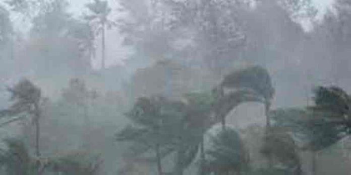 സംസ്ഥാനത്ത് അതിതീവ്ര മഴയുണ്ടാകും ; പത്തനംതിട്ടയുള്പ്പടെ മൂന്നു ജില്ലകളില് റെഡ് അലര്ട്ട് സംസ്ഥാനത്ത് അതിതീവ്ര മഴയുണ്ടാകും ; പത്തനംതിട്ടയുള്പ്പടെ മൂന്നു ജില്ലകളില് റെഡ് അലര്ട്ട്