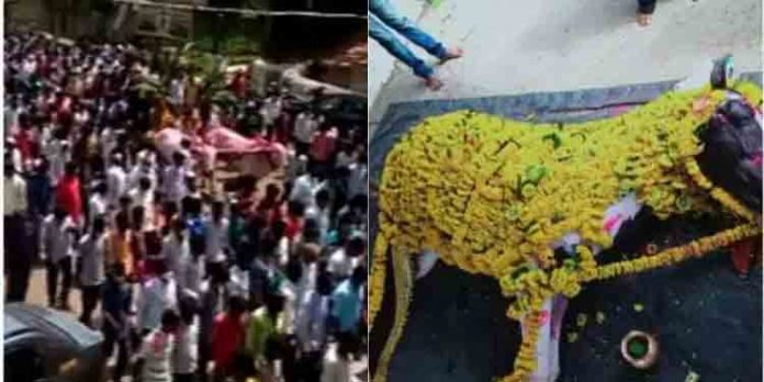 കുതിരയുടെ ശവസംസ്കാര ചടങ്ങില് തടിച്ചുകൂടിയത് നൂറിലേറെ പേര് ; ഗ്രാമം പൂര്ണമായും അടച്ചുപൂട്ടി കുതിരയുടെ ശവസംസ്കാര ചടങ്ങില് തടിച്ചുകൂടിയത് നൂറിലേറെ പേര് ; ഗ്രാമം പൂര്ണമായും അടച്ചുപൂട്ടി