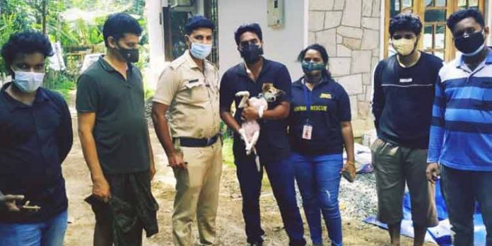 പൊന്നി ഇനി ടീം ആരോയുടെ തണലിൽ പൊന്നി ഇനി ടീം ആരോയുടെ തണലിൽ