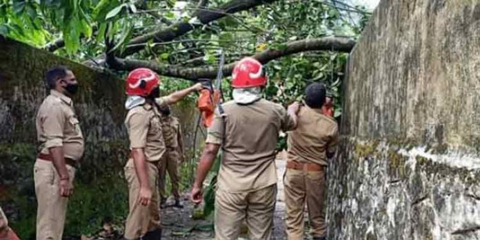 ലോക്ക്ഡൌണിന്റെയൊപ്പം വൈദ്യുതിയും പിന്വാങ്ങി ; കോന്നിയുടെ പലമേഖലകളും ഇപ്പോഴും ഇരുട്ടില് ലോക്ക്ഡൌണിന്റെയൊപ്പം വൈദ്യുതിയും പിന്വാങ്ങി ; കോന്നിയുടെ പലമേഖലകളും ഇപ്പോഴും ഇരുട്ടില്