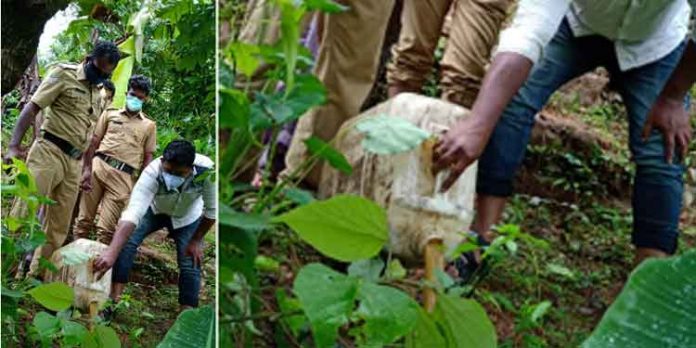 കൊക്കാത്തോട് കോട്ടാംപാറയിൽ നിന്നും കോട പിടിച്ചെടുത്തു കൊക്കാത്തോട് കോട്ടാംപാറയിൽ നിന്നും കോട പിടിച്ചെടുത്തു