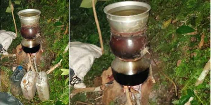 അടൂരില് ചാരായം വാറ്റിക്കൊണ്ടിരിക്കേ രണ്ടു പേരെ പോലീസ് പിടികൂടി അടൂരില് ചാരായം വാറ്റിക്കൊണ്ടിരിക്കേ രണ്ടു പേരെ പോലീസ് പിടികൂടി