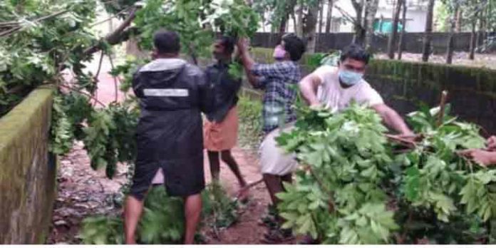 ശക്തായ മഴയും കാറ്റും ; കോന്നിയിലും പരിസരപ്രദേശങ്ങളിലും വന് നാശനഷ്ടം ശക്തായ മഴയും കാറ്റും ; കോന്നിയിലും പരിസരപ്രദേശങ്ങളിലും വന് നാശനഷ്ടം