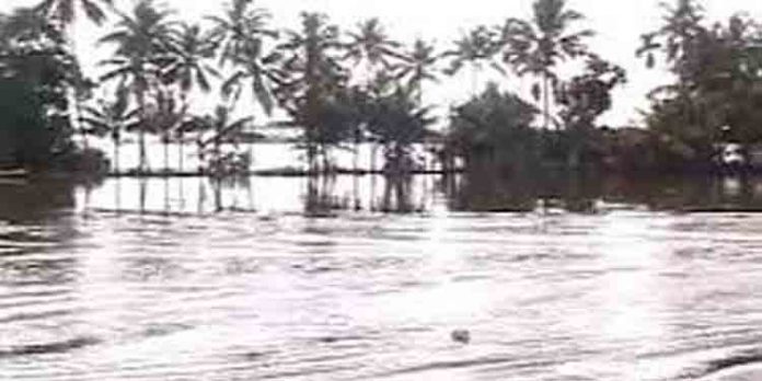 കനത്ത മഴ തുടരുന്നു ; കുട്ടനാട്ടില് വെള്ളപ്പൊക്കം കനത്ത മഴ തുടരുന്നു ; കുട്ടനാട്ടില് വെള്ളപ്പൊക്കം