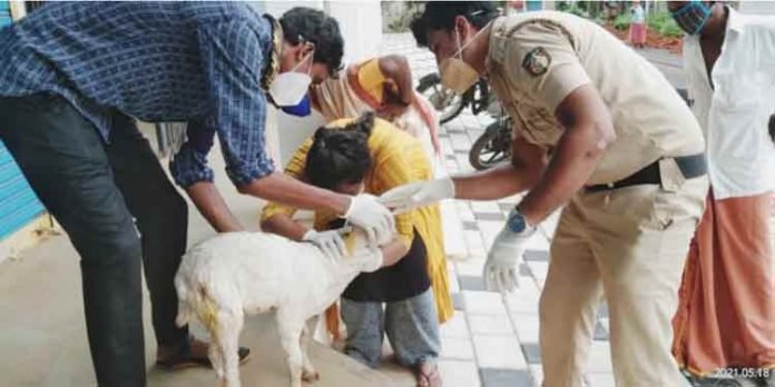 മനുഷ്യന് മാത്രമല്ല മൃഗങ്ങള്ക്കും കരുതലായി ഇലവുംതിട്ട ജനമൈത്രി പോലീസ് മനുഷ്യന് മാത്രമല്ല മൃഗങ്ങള്ക്കും കരുതലായി ഇലവുംതിട്ട ജനമൈത്രി പോലീസ്
