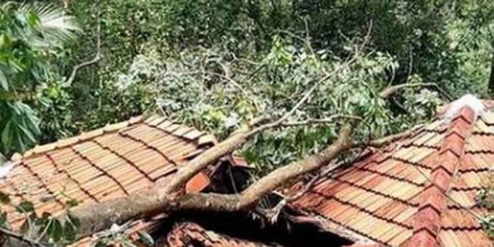 ശക്തമായ മഴയിൽ കോന്നിയുടെ മലയോര മേഖലയിൽ വ്യാപകമായ നാശനഷ്ടം ശക്തമായ മഴയിൽ കോന്നിയുടെ മലയോര മേഖലയിൽ വ്യാപകമായ നാശനഷ്ടം