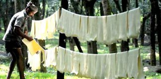 അന്താരാഷ്ട്ര വിപണിയിൽ റബ്ബർക്ഷാമം രൂക്ഷമാകുമെന്ന് സൂചന ; വില 300 കടക്കും