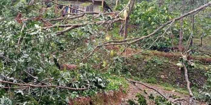 കനത്ത മഴയില് തൊടുപുഴ താലൂക്കിലെ വിവിധ പഞ്ചായത്തുകളില് വ്യാപക നാശനഷ്ടം കനത്ത മഴയില് തൊടുപുഴ താലൂക്കിലെ വിവിധ പഞ്ചായത്തുകളില് വ്യാപക നാശനഷ്ടം