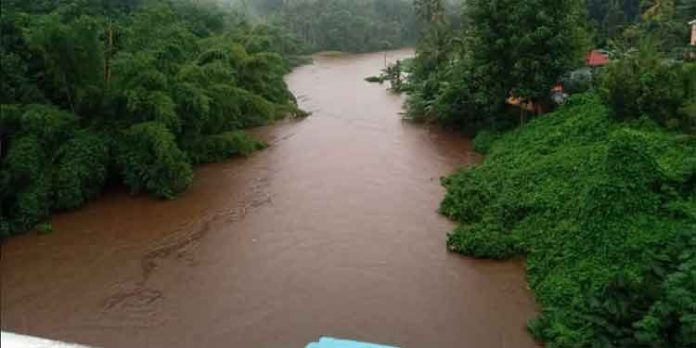 അച്ചന്കോവിലാറിലും പമ്പയിലും ജലനിരപ്പ് താഴ്ന്നു തുടങ്ങി അച്ചന്കോവിലാറിലും പമ്പയിലും ജലനിരപ്പ് താഴ്ന്നു തുടങ്ങി