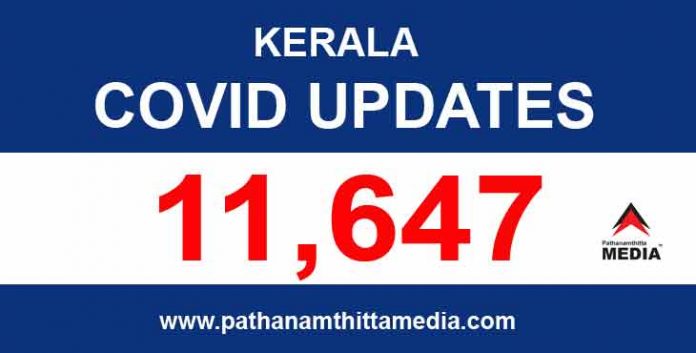 സംസ്ഥാനത്ത് ഇന്ന് 11,647 പേര്ക്ക് കോവിഡ്-19 സ്ഥിരീകരിച്ചു സംസ്ഥാനത്ത് ഇന്ന് 11,647 പേര്ക്ക് കോവിഡ്-19 സ്ഥിരീകരിച്ചു
