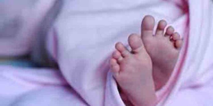 നവജാത ശിശുവിനെ വിറ്റ കേസില് ആറു പേര് അറസ്റ്റില് നവജാത ശിശുവിനെ വിറ്റ കേസില് ആറു പേര് അറസ്റ്റില്
