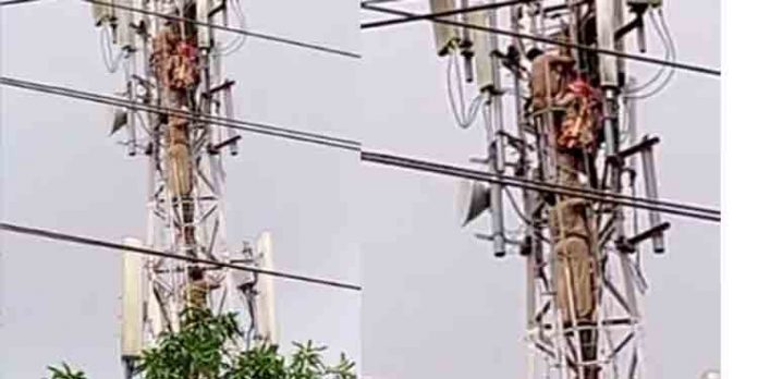 മാവേലിക്കരയില് ടവറിന് മുകളില് കയറി യുവാവ് തൂങ്ങി മരിച്ചു മാവേലിക്കരയില് ടവറിന് മുകളില് കയറി യുവാവ് തൂങ്ങി മരിച്ചു