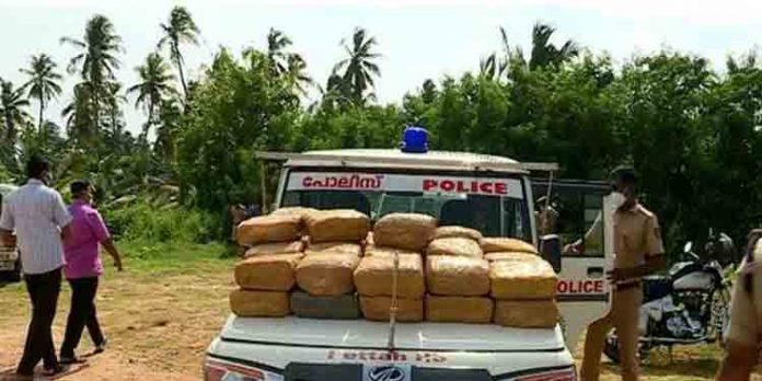 ആളൊഴിഞ്ഞ പറമ്പില് നിന്ന് 100 കിലോ കഞ്ചാവ് പിടികൂടി ; രണ്ടുപേരെ പോലീസ് അറസ്റ്റ് ചെയ്തു ആളൊഴിഞ്ഞ പറമ്പില് നിന്ന് 100 കിലോ കഞ്ചാവ് പിടികൂടി ; രണ്ടുപേരെ പോലീസ് അറസ്റ്റ് ചെയ്തു
