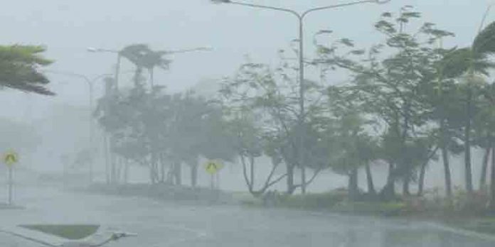 ശക്തമായ മഴ ഇന്നും തുടരും : കടലില് പോകരുതെന്ന് ജാഗ്രത നിര്ദേശം ; 10 ജില്ലകളില് യെല്ലോ അലര്ട്ട് ശക്തമായ മഴ ഇന്നും തുടരും : കടലില് പോകരുതെന്ന് ജാഗ്രത നിര്ദേശം ; 10 ജില്ലകളില് യെല്ലോ അലര്ട്ട്