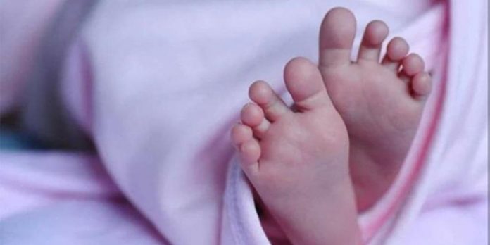 തൂക്കം 430 ഗ്രാം മാത്രം ; കുഞ്ഞിനെ രക്ഷിച്ച് അടൂർ ലൈഫ് ലൈൻ തൂക്കം 430 ഗ്രാം മാത്രം ; കുഞ്ഞിനെ രക്ഷിച്ച് അടൂർ ലൈഫ് ലൈൻ