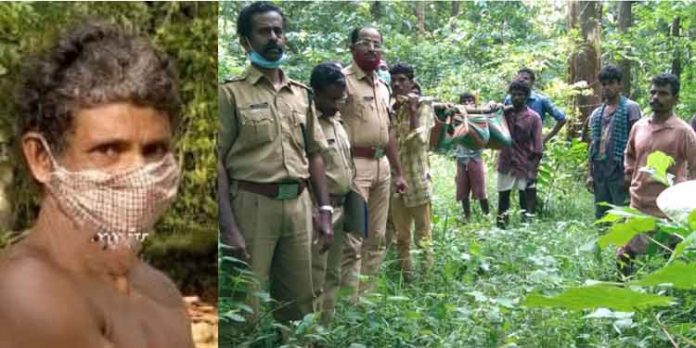 ആവണിപ്പാറയില് തേൻ എടുക്കാൻ കയറിയ ആൾ മരത്തിൽ നിന്ന് വീണ് മരിച്ചു ആവണിപ്പാറയില് തേൻ എടുക്കാൻ കയറിയ ആൾ മരത്തിൽ നിന്ന് വീണ് മരിച്ചു
