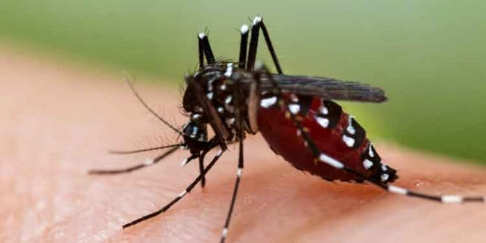 മഴക്കാല രോഗങ്ങള്ക്കെതിരെ ജാഗ്രത പാലിക്കണം : ഡിഎംഒ മഴക്കാല രോഗങ്ങള്ക്കെതിരെ ജാഗ്രത പാലിക്കണം : ഡിഎംഒ