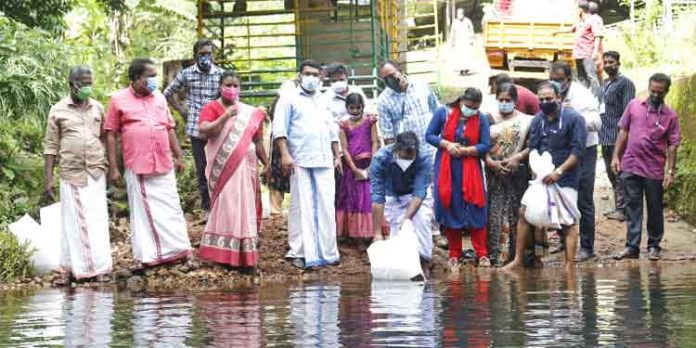 കക്കാട്ടാറിലും അച്ചൻകോവിൽ ആറിലും മത്സ്യ കുഞ്ഞുങ്ങളെ നിക്ഷേപിച്ചു കക്കാട്ടാറിലും അച്ചൻകോവിൽ ആറിലും മത്സ്യ കുഞ്ഞുങ്ങളെ നിക്ഷേപിച്ചു