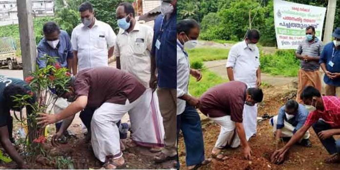 പത്തനംതിട്ട നഗരസഭയ്ക്കായി മാലിന്യ രഹിത തെരുവോരം പദ്ധതി പത്തനംതിട്ട നഗരസഭയ്ക്കായി മാലിന്യ രഹിത തെരുവോരം പദ്ധതി