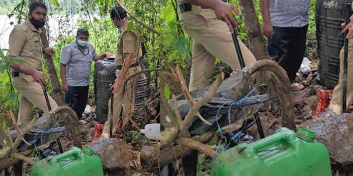 പെരുനാട്ടിൽ 600 ലിറ്റര് കോടശേഖരം പിടികൂടി പെരുനാട്ടിൽ 600 ലിറ്റര് കോടശേഖരം പിടികൂടി