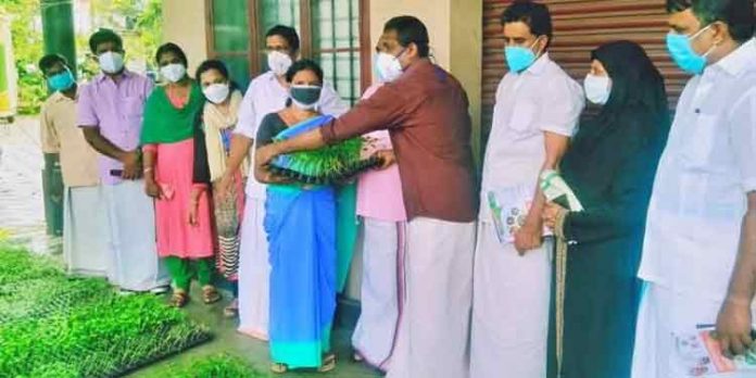 ഓണത്തിന് ഒരു മുറം പച്ചക്കറി പദ്ധതി ; പത്തനംതിട്ട നഗരസഭയിലും ഓണത്തിന് ഒരു മുറം പച്ചക്കറി പദ്ധതി ; പത്തനംതിട്ട നഗരസഭയിലും
