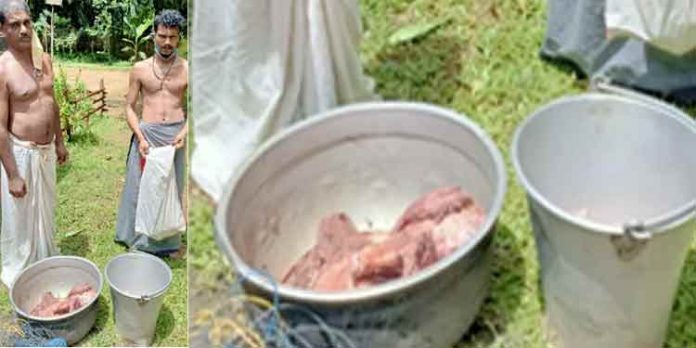 കാട്ടുപന്നിയെ വൈദ്യുതാഘാതമേൽപ്പിച്ച് കൊന്ന സംഭവത്തിൽ രണ്ട് പേർ പിടിയിൽ കാട്ടുപന്നിയെ വൈദ്യുതാഘാതമേൽപ്പിച്ച് കൊന്ന സംഭവത്തിൽ രണ്ട് പേർ പിടിയിൽ