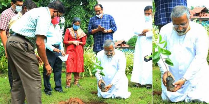പുഷ്പഗിരി ആശുപത്രിയിൽ ലോക പരിസ്ഥിതി ദിനം ആചരിച്ചു പുഷ്പഗിരി ആശുപത്രിയിൽ ലോക പരിസ്ഥിതി ദിനം ആചരിച്ചു