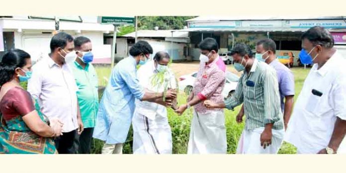 തണൽ പദ്ധതിയ്ക്ക് തുടക്കമായി ; മൈലപ്ര പള്ളിപ്പടി ജംഗ്ഷനിൽ നെല്ലിതൈ നട്ടു തണൽ പദ്ധതിയ്ക്ക് തുടക്കമായി ; മൈലപ്ര പള്ളിപ്പടി ജംഗ്ഷനിൽ നെല്ലിതൈ നട്ടു