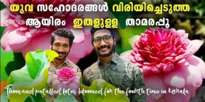 തടിയൂർ എന്ന ഗ്രാമത്തിൽ സഹസ്രദള പത്മം വിരിയിച്ച ഇരട്ട സഹോദരങ്ങൾ തടിയൂർ എന്ന ഗ്രാമത്തിൽ സഹസ്രദള പത്മം വിരിയിച്ച ഇരട്ട സഹോദരങ്ങൾ