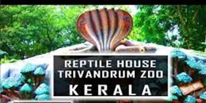 തിരുവനന്തപുരം മൃഗശാലയില് രാജവെമ്പാലയുടെ കടിയേറ്റ് ജീവനക്കാരന് മരിച്ചു തിരുവനന്തപുരം മൃഗശാലയില് രാജവെമ്പാലയുടെ കടിയേറ്റ് ജീവനക്കാരന് മരിച്ചു