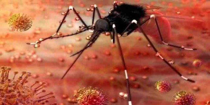 സിക്ക വൈറസ് : കേന്ദ്രസംഘം ഇന്ന് തിരുവവന്തപുരം ജില്ലാ കളക്ടറുമായി കൂടിക്കാഴ്ച നടത്തും സിക്ക വൈറസ് : കേന്ദ്രസംഘം ഇന്ന് തിരുവവന്തപുരം ജില്ലാ കളക്ടറുമായി കൂടിക്കാഴ്ച നടത്തും
