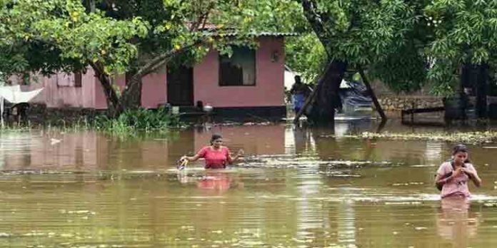 മഴ കനത്തതോടെ അപ്പര് കുട്ടനാട്ടിലെ താഴ്ന്ന പ്രദേശങ്ങള് വെള്ളത്തില് മഴ കനത്തതോടെ അപ്പര് കുട്ടനാട്ടിലെ താഴ്ന്ന പ്രദേശങ്ങള് വെള്ളത്തില്