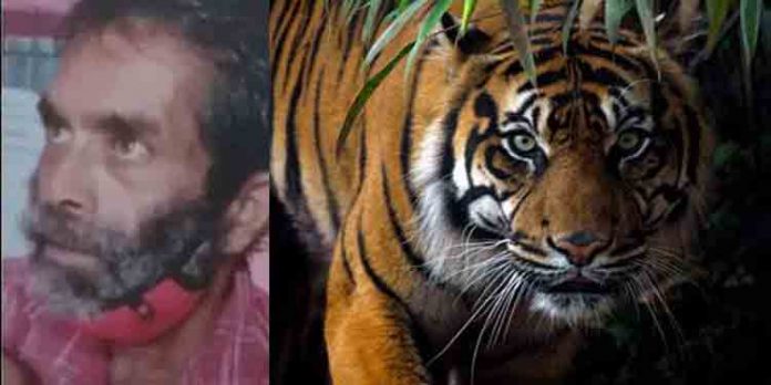 കടുവയുടെ ആക്രമണത്തില് കര്ഷകന് കൊല്ലപ്പെട്ടു ; നാട്ടുകാരും വനം വകുപ്പ് ഉദ്യോഗസ്ഥരും തമ്മില് സംഘര്ഷം കടുവയുടെ ആക്രമണത്തില് കര്ഷകന് കൊല്ലപ്പെട്ടു ; നാട്ടുകാരും വനം വകുപ്പ് ഉദ്യോഗസ്ഥരും തമ്മില് സംഘര്ഷം