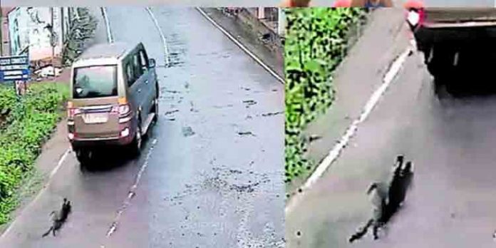 നായയെ വാഹനത്തിനു പിന്നില് കെട്ടിയിട്ടു വലിച്ചുകൊണ്ടുപോയ സംഭവം : യുവാവിനെ പോലീസ് അറസ്റ്റ് ചെയ്തു നായയെ വാഹനത്തിനു പിന്നില് കെട്ടിയിട്ടു വലിച്ചുകൊണ്ടുപോയ സംഭവം : യുവാവിനെ പോലീസ് അറസ്റ്റ് ചെയ്തു