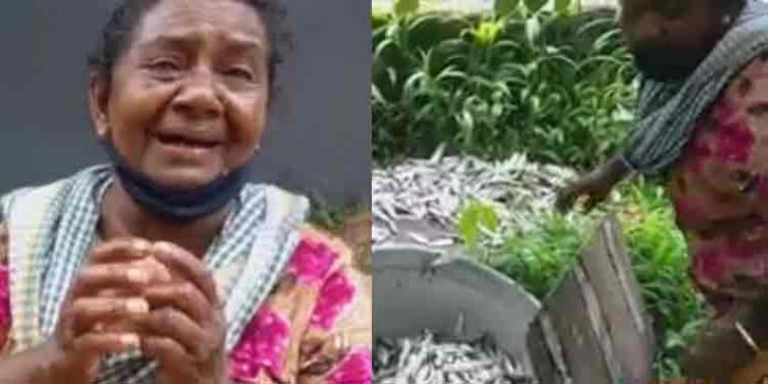 പേര് ജനമൈത്രി പോലീസ് ; കാട്ടുന്നത് കട്ടാളത്തം ; വൃദ്ധ വില്പ്പനയ്ക്ക് കൊണ്ടുവന്ന മത്സ്യങ്ങള് അഴുക്കു ചാലില് എറിഞ്ഞു പേര് ജനമൈത്രി പോലീസ് ; കാട്ടുന്നത് കട്ടാളത്തം ; വൃദ്ധ വില്പ്പനയ്ക്ക് കൊണ്ടുവന്ന മത്സ്യങ്ങള് അഴുക്കു ചാലില് എറിഞ്ഞു