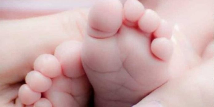 ലോക്ക്ഡൗൺ കാലത്ത് കൊല്ലത്തെ അമ്മത്തൊട്ടിലിൽ എത്തിയത് 15 കുഞ്ഞുങ്ങൾ ലോക്ക്ഡൗൺ കാലത്ത് കൊല്ലത്തെ അമ്മത്തൊട്ടിലിൽ എത്തിയത് 15 കുഞ്ഞുങ്ങൾ