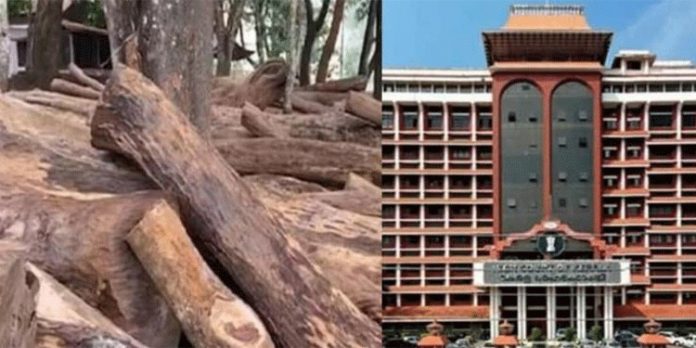 മുട്ടിൽ മരം മുറിക്കൽ ; പ്രതികളുടെ മുൻകൂർ ജാമ്യ ഹർജി ഹൈക്കോടതി തള്ളി മുട്ടിൽ മരം മുറിക്കൽ ; പ്രതികളുടെ മുൻകൂർ ജാമ്യ ഹർജി ഹൈക്കോടതി തള്ളി