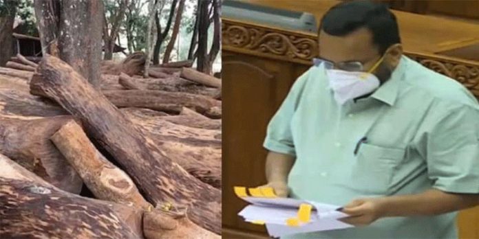 മുട്ടില് മരം മുറിക്കല് ; സര്ക്കാരിന് ആരെയും സംരക്ഷിക്കേണ്ടതില്ല – അവകാശം കര്ഷകര്ക്ക് തന്നെ : റവന്യു മന്ത്രി മുട്ടില് മരം മുറിക്കല് ; സര്ക്കാരിന് ആരെയും സംരക്ഷിക്കേണ്ടതില്ല – അവകാശം കര്ഷകര്ക്ക് തന്നെ : റവന്യു മന്ത്രി