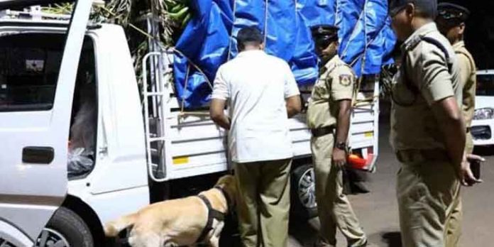പത്തനംതിട്ടയില് ലഹരി വസ്തുക്കള്ക്കെതിരേ പോലീസ് റെയ്ഡ് ഊര്ജിതം – നിരവധി കേസുകള് പത്തനംതിട്ടയില് ലഹരി വസ്തുക്കള്ക്കെതിരേ പോലീസ് റെയ്ഡ് ഊര്ജിതം – നിരവധി കേസുകള്