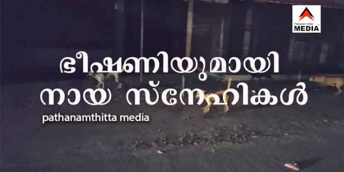 പത്തനംതിട്ടയിലെ തെരുവുനായ ശല്യത്തെക്കുറിച്ച് ലൈവ് ചെയ്തപ്പോള് നായസ്നേഹികളുടെ ഭീഷണി പത്തനംതിട്ടയിലെ തെരുവുനായ ശല്യത്തെക്കുറിച്ച് ലൈവ് ചെയ്തപ്പോള് നായസ്നേഹികളുടെ ഭീഷണി