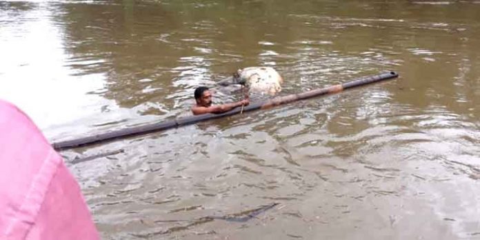 അച്ചൻകോവിലാറ്റിലൂടെ ഒഴുകി എത്തിയ ആനക്കുട്ടിയുടെ ജഡം കോന്നിയില് കണ്ടെത്തി അച്ചൻകോവിലാറ്റിലൂടെ ഒഴുകി എത്തിയ ആനക്കുട്ടിയുടെ ജഡം കോന്നിയില് കണ്ടെത്തി