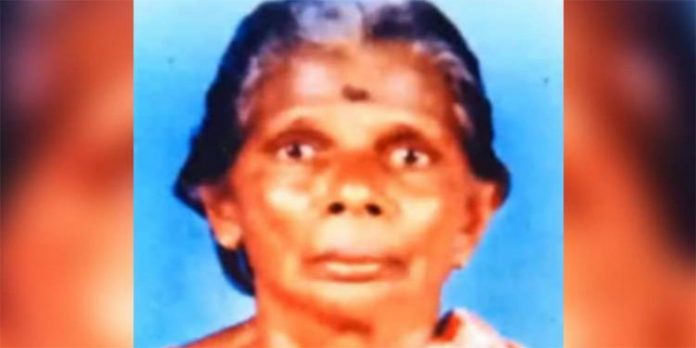 ആലപ്പുഴയില് കടന്നല് കുത്തേറ്റ് സ്ത്രീ മരിച്ചു ആലപ്പുഴയില് കടന്നല് കുത്തേറ്റ് സ്ത്രീ മരിച്ചു