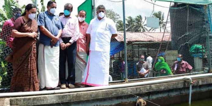 ഉള്നാടന് മത്സ്യമേഖലയില് പരമാവധി ഉത്പാദനം വര്ധിപ്പിക്കും : മന്ത്രി സജി ചെറിയാന് ഉള്നാടന് മത്സ്യമേഖലയില് പരമാവധി ഉത്പാദനം വര്ധിപ്പിക്കും : മന്ത്രി സജി ചെറിയാന്