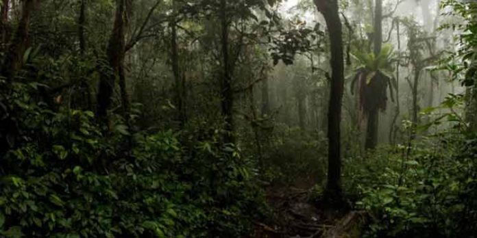 കട്ടിപ്പാറ അമരാട് മലയില് വിനോദ സഞ്ചാരത്തിനെത്തിയ രണ്ടുപേര് വനപ്രദേശത്ത് കുടുങ്ങി ; പോലീസും ഫയര് ഫോഴ്സും തിരച്ചില് നടത്തുന്നു കട്ടിപ്പാറ അമരാട് മലയില് വിനോദ സഞ്ചാരത്തിനെത്തിയ രണ്ടുപേര് വനപ്രദേശത്ത് കുടുങ്ങി ; പോലീസും ഫയര് ഫോഴ്സും തിരച്ചില് നടത്തുന്നു