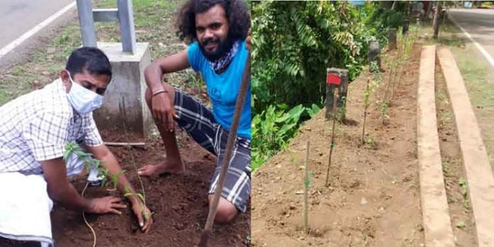 റോഡരുകിലെ മാലിന്യ നിക്ഷേപത്തിനെതിരെ പൂന്തോട്ടം നിര്മ്മിച്ച് വാര്ഡ് കൌണ്സിലര് ജെറി അലക്സ് റോഡരുകിലെ മാലിന്യ നിക്ഷേപത്തിനെതിരെ പൂന്തോട്ടം നിര്മ്മിച്ച് വാര്ഡ് കൌണ്സിലര് ജെറി അലക്സ്