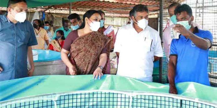 പന്നിവേലിച്ചിറ ഹാച്ചറിയില് സ്കൂള് കുട്ടികള്ക്ക് സന്ദര്ശിക്കാന് സൗകര്യം ഒരുക്കും പന്നിവേലിച്ചിറ ഹാച്ചറിയില് സ്കൂള് കുട്ടികള്ക്ക് സന്ദര്ശിക്കാന് സൗകര്യം ഒരുക്കും