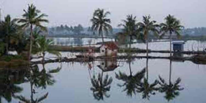 കടമക്കുടിയില് സമഗ്ര ടൂറിസം പദ്ധതി യാഥാര്ത്ഥ്യമാകുന്നു കടമക്കുടിയില് സമഗ്ര ടൂറിസം പദ്ധതി യാഥാര്ത്ഥ്യമാകുന്നു
